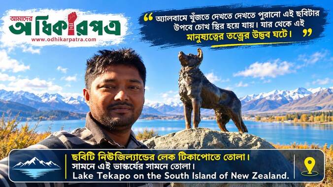 ছবির নেকড়েটি